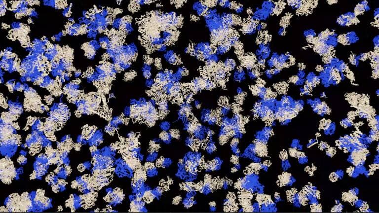 ثورة جديدة في توقع هياكل البروتينات على نطاق واسع: كيف يمكن تسريع العملية؟